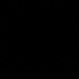 Meet your Posher, Nesean